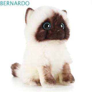 Bernardo ของเล่นตุ๊กตาแมว ประดับเลื่อม สีน้ําตาล และสีขาว 20 26 ซม. สําหรับเด็ก