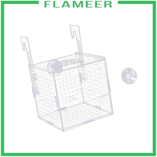 [Flameer] กล่องอะคริลิค สําหรับใส่อาหารปลา กุ้ง เด็กทารกแรกเกิด