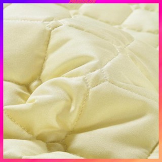 [Predolo2] แผ่นที่นอนนวดหน้า มีรูระบายอากาศ ขนาด 71x24 นิ้ว สีขาว
