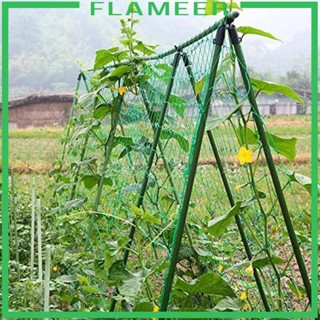 [Flameer] Trellis Ranknetz ไม้บรรทัด สําหรับทุกขนาด