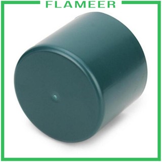 [Flameer] หอยทากฟิสิกส์ ผัก ปลอดภัย เป็นมิตรต่อสิ่งแวดล้อม