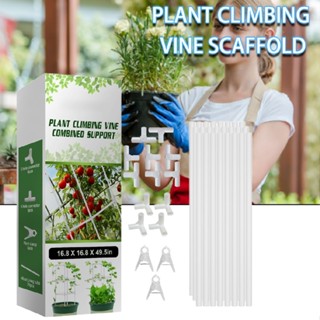 Potted Plant Trellis Kits for Climbing Plants Garden Plant Supports with Clips