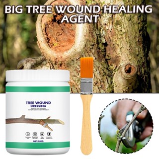 Bonsai Pruning Cutting Paste Tree Wound Dressing Tree Wound Sealer Sealant Smear