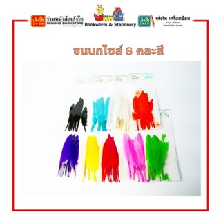 ขนนก ไซต์ S คละสี พร้อมส่ง