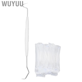 Wuyuu 80x Dental Pick 2 Head Design One Time Clean  Supplie For Removing Tartar