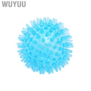 Wuyuu Spiky Ball Hollow Soft Transparent Strength Recovery Exercise Stress Relief  for Hand Wrist y