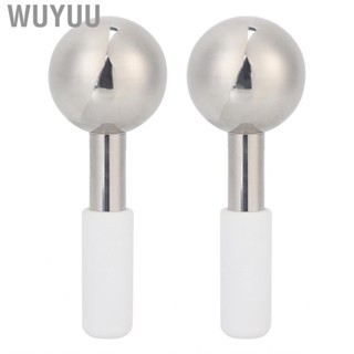 Wuyuu Stainless Steel Facial Ice Globe Face Cooling Roller Beauty  For Puffine