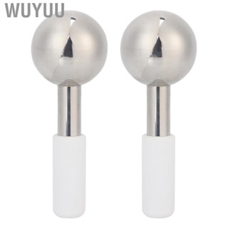 Wuyuu Stainless Steel Facial Ice Globe Face Cooling Roller Beauty  For Puffine