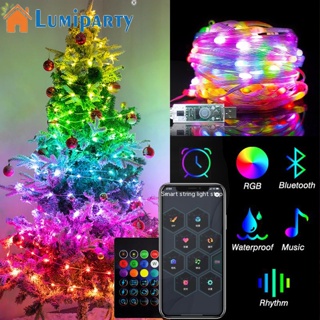 Lumiparty สายไฟหิ่งห้อย Led Ip65 ชาร์จ Usb กันน้ํา พร้อมฟังก์ชั่นตั้งเวลา สําหรับกลางแจ้ง