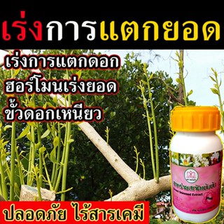 ปุ๋ยเร่งยอด  ฮอร์โมนเร่งยอดสาหร่ายสกัดเข้มข้น 290 cc กระตุ้นการแตกตา เร่งแตกยอด ยาเร่งการแตกตา น้ำยาเร่งการแตกตาพืช