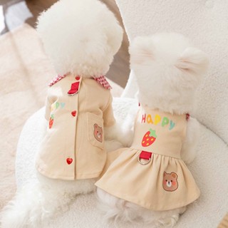 เสื้อกั๊กกระโปรง ลายสก๊อต และหมีน่ารัก สองขา สําหรับคู่รัก