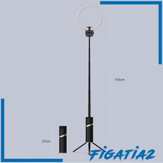 [Figatia2] ไฟเซลฟี่ 10 นิ้ว พร้อมขาตั้งกล้อง ติดตั้งง่าย พับได้ อเนกประสงค์ สําหรับถ่ายภาพ วิดีโอ แต่งหน้า สตูดิโอ