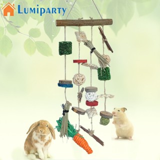 Lumiparty ชุดของเล่นลูกบอลหวายไม้ ทนต่อการกัด สําหรับสัตว์เลี้ยง หนูแฮมสเตอร์ หมีสีทอง