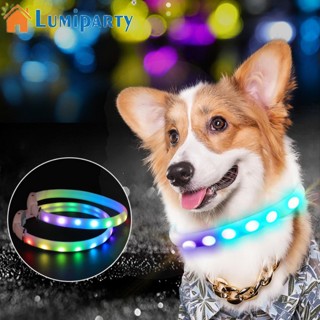 Lumiparty ปลอกคอสัตว์เลี้ยง Led เรืองแสง หลากสี พร้อมไฟกระพริบ ชาร์จ Usb ปลอกคอสุนัขเรืองแสง