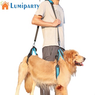 Lumiparty สายรัดพยุงขา สําหรับสัตว์เลี้ยง สุนัขผู้สูงอายุ ผู้พิการ บาดเจ็บ