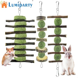 Lumiparty ของเล่นไม้เคี้ยว ลูกบอลหญ้า สําหรับกระต่าย เค้ก 3 ชิ้น