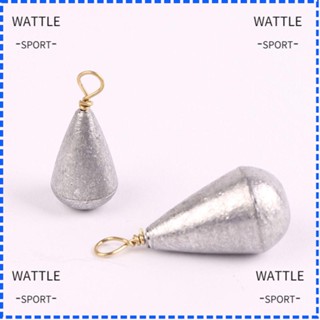 Wattle ตะกั่วถ่วงน้ําหนัก 2 กรัม - 30 กรัม สําหรับตกปลาคาร์พ 2023