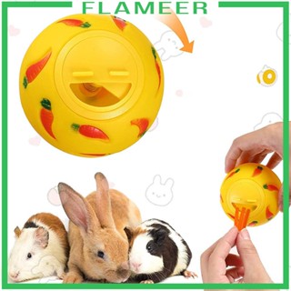 [Flameer] ถ้วยสีรุ้ง และลูกบอลเปิด ปรับได้ สําหรับเม่น สัตว์ขนาดเล็ก