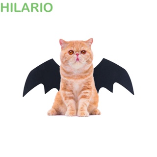 Hilario ปีกค้างคาวน่ารัก เครื่องแต่งกายฮาโลวีน สําหรับสัตว์เลี้ยง สุนัข แมว