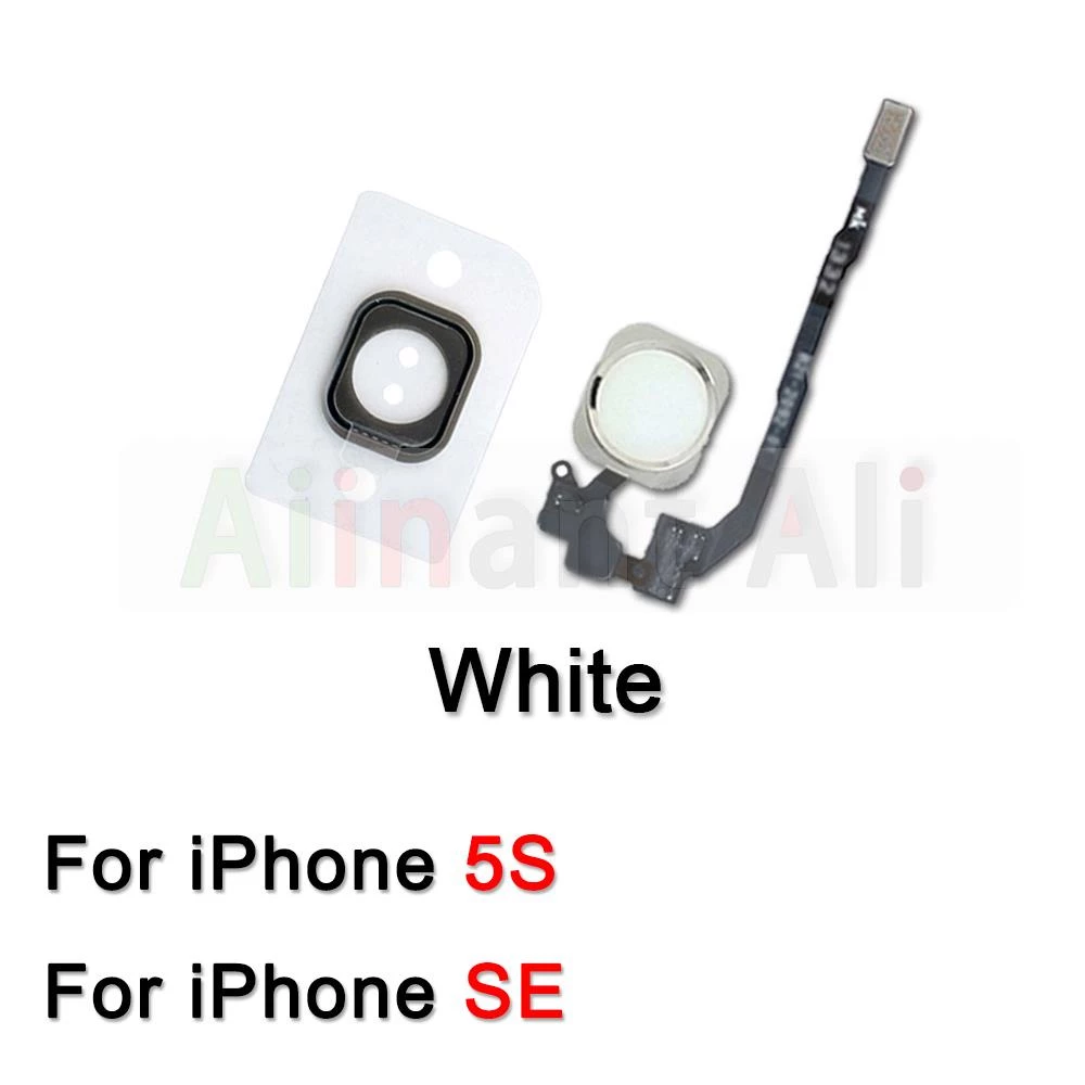 สายแพปุ่ม Home สำหรับ iPhone 6 6s 7 8 Plus 5s SE ไม่มี Touch ID thumbnail 9