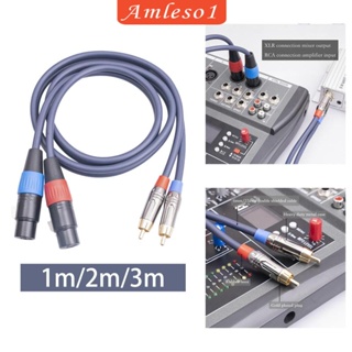 [Amleso1] สายเคเบิลเชื่อมต่อเสียง XLR เป็น RCA สําหรับเครื่องมิกเซอร์