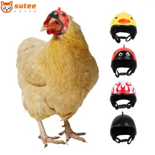 Sutee หมวกกันน็อค ป้องกันฝน อุปกรณ์เสริม สําหรับสัตว์เลี้ยง ไก่