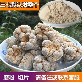 Sanqi Powder Yunnan Wenshan ของแท้ ผงกระตุ้นเลือด ฟกช้ําในชั้นแรก 18 หัว รุ่นที่ 20