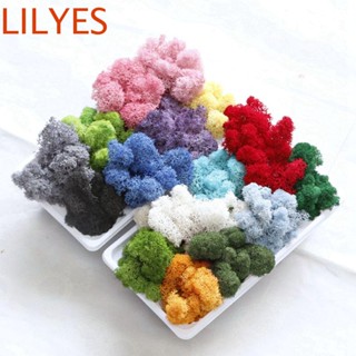 Lilyescub มอสประดิษฐ์ สีเขียว สําหรับตกแต่งบ้าน ห้องนั่งเล่น DIY