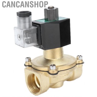 Cancanshop Diaphragm Solenoid Valve  Brass Convenient Installation Integrally Formed Body Smooth Surface for Mechanical Engineering