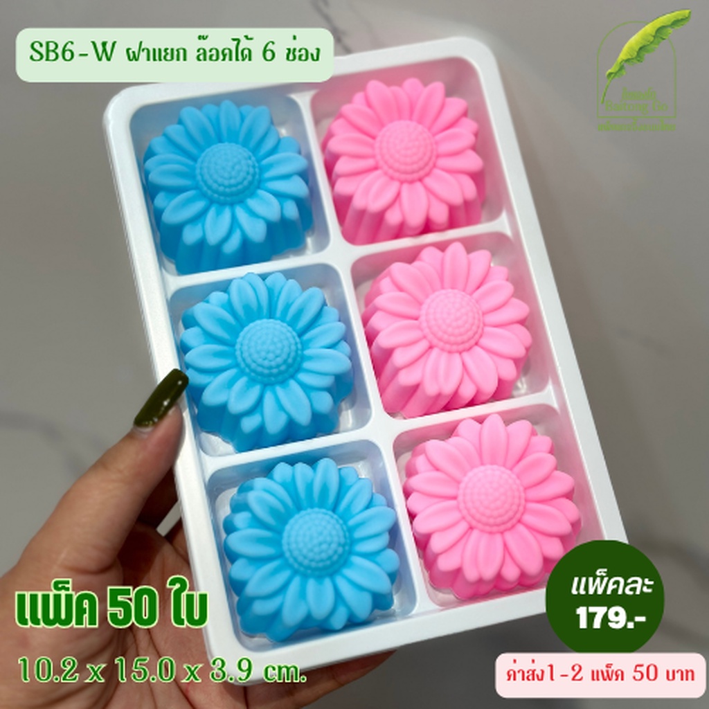 กล่อง SB6-W ฝาแยก 6ช่อง ฐานขาว ฝาล็อคได้ แพ็ค 50ใบ

<p>“><center></p>
<h4></h4>
<p><p><font color=