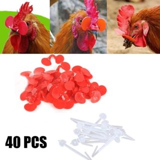 Chicken Glasses Red 40Pcs 43 X 27mm Anti-pecking Bird Supplies Plastic