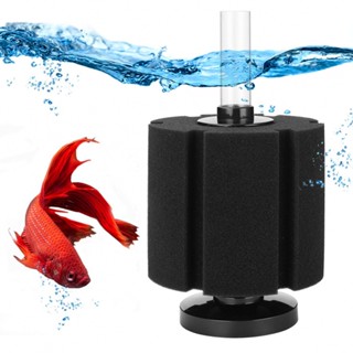 Sponge Filter Biochemical Filtration Fish Tank Fry Maintenance Up To 80L