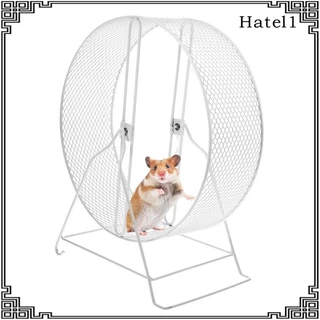 [Hatel] ล้อลูกกลิ้ง กันลื่น สําหรับหนูแฮมสเตอร์ กระรอก เม่น
