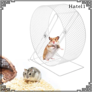 [Hatel] ล้อลูกกลิ้ง กันลื่น สําหรับหนูแฮมสเตอร์ กระรอก เม่น