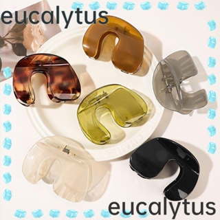 Eucalytus1 กิ๊บติดผมอะคริลิค ขนาดเล็ก กลาง และเล็ก แฟชั่นสําหรับผู้หญิง