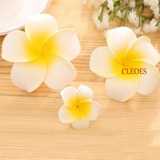 Cleoes ใหม่ กิ๊บติดผม โฟม ดอกไม้ พลัมเมอเรีย ถั่ว