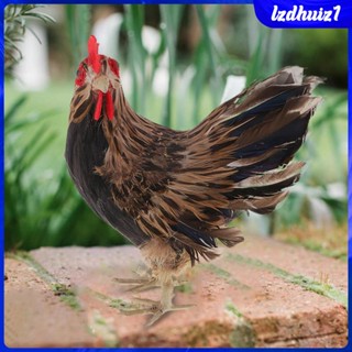 [Lzdhuiz1] ฟิกเกอร์ รูปสัตว์ ไก่ ขนนก สําหรับตกแต่งสวน