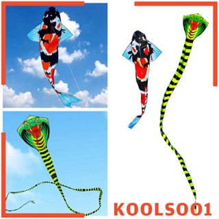 [Koolsoo1] ว่าว 3D หางยาว 100 เมตร หางแมลงวันง่าย สําหรับชายหาด