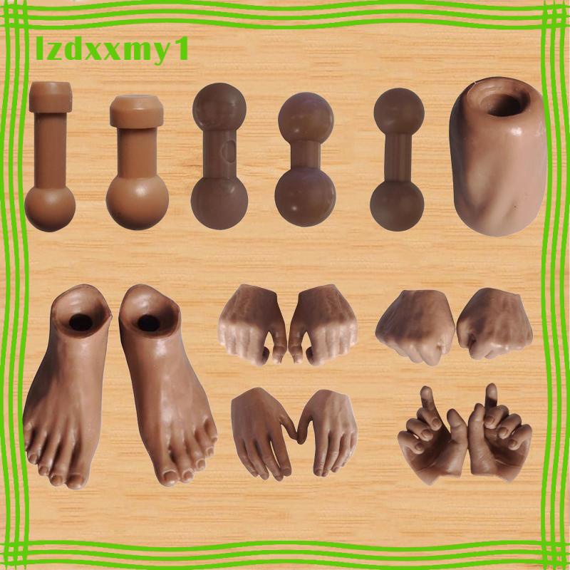 ฟิกเกอร์เชื่อมต่อร่างกาย สเกล 1/6 ตัวผู้ และตัวเมีย 12 นิ้ว