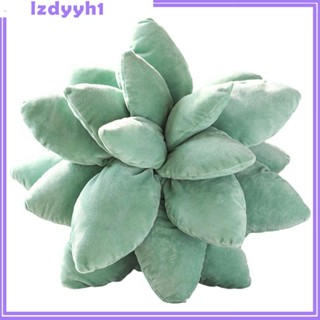 [JoyDIY] Snuggly Succulents พืชอวบน้ํา น่ารัก สําหรับตกแต่งโซฟา เตียง ห้องนอน ฟาร์มเฮาส์ เฟอร์นิเจอร์