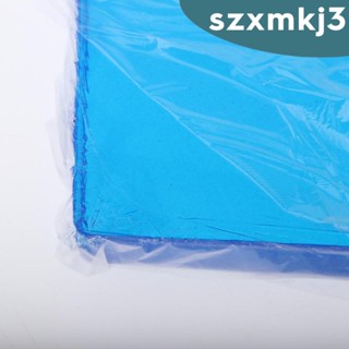 [Szxmkj3] เบาะรองนั่ง แบบนิ่ม ขนาด 25 X 25 ซม. สีฟ้า สําหรับรถจักรยานยนต์