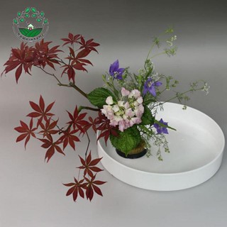 [Whcart] Ikebana ถาดกระถางดอกไม้ ทรงกลม สไตล์ญี่ปุ่น