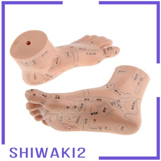 [Shiwaki2] โมเดลนวดกดจุด 2 ชิ้น