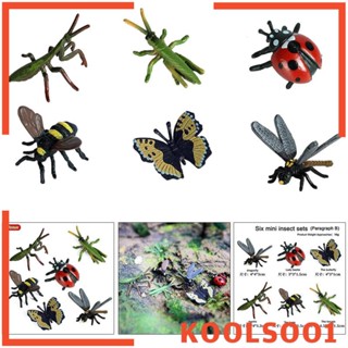 [Koolsoo1] ของเล่นโมเดลฟิกเกอร์เหมือนจริง Inseto-6 peças-B 6 ชิ้น