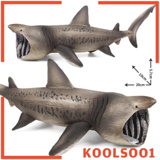 [Koolsoo1] โมเดลฟิกเกอร์สัตว์ทะเล สมจริง ของเล่น สําหรับสะสม