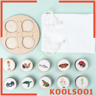 [Koolsoo1] บอร์ดไม้ วงจรชีวิตสัตว์ หลากสี ของเล่นเสริมพัฒนาการ สําหรับเด็กผู้ชาย และเด็กผู้หญิง