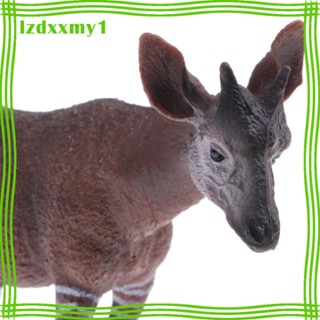 [ Realistic Okapi Wildlife โมเดลฟิกเกอร์ รูปสัตว์ป่า ของเล่นสําหรับเด็ก