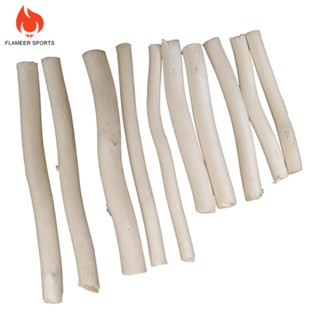 [Lzdzlx1] กิ่งไม้ธรรมชาติ DIY สําหรับตกแต่งต้นไม้ 20 ชิ้น