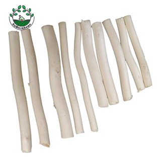 [Whcart] กิ่งไม้ธรรมชาติ 20 ชิ้น สําหรับตกแต่ง DIY