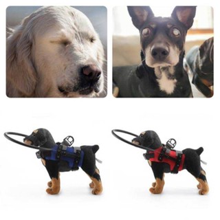 Pet Blind Halo Practical Collision Avoidance Lightweight Blind Halo Harness Dog